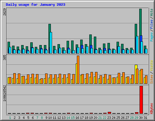 Daily usage for January 2023