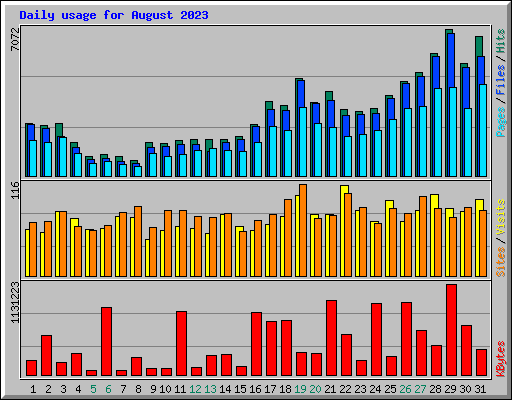 Daily usage for August 2023