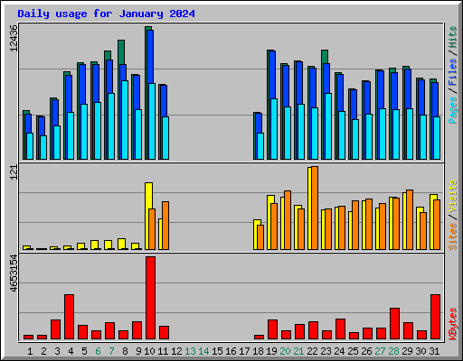 Daily usage for January 2024