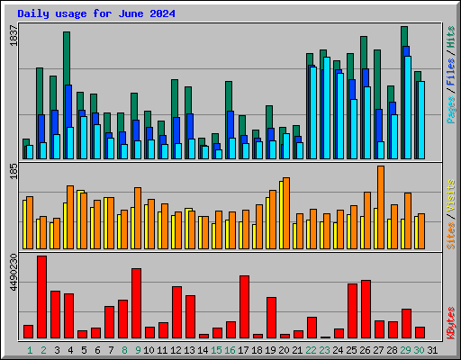 Daily usage for June 2024