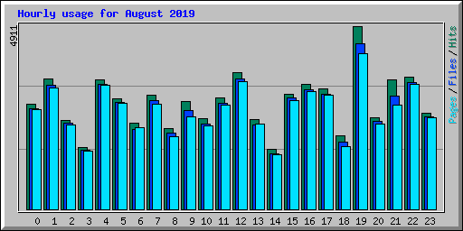 Hourly usage for August 2019