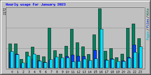 Hourly usage for January 2023