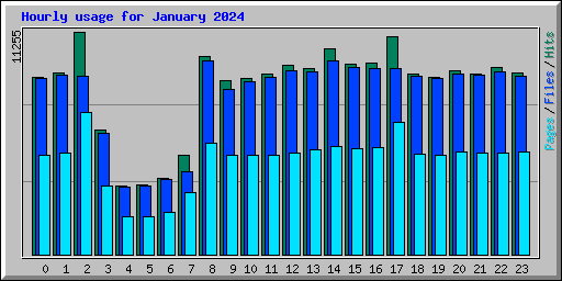 Hourly usage for January 2024