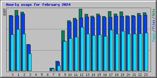 Hourly usage for February 2024