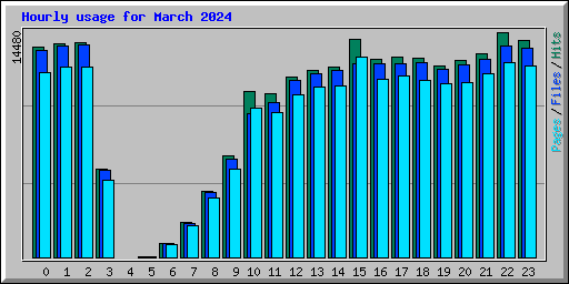 Hourly usage for March 2024