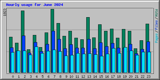 Hourly usage for June 2024