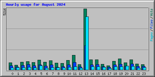 Hourly usage for August 2024