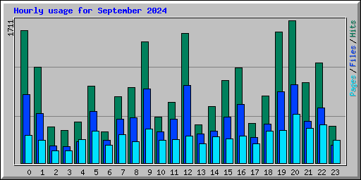 Hourly usage for September 2024