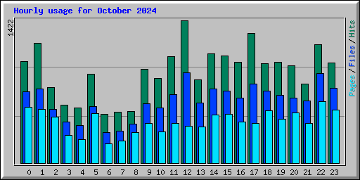 Hourly usage for October 2024