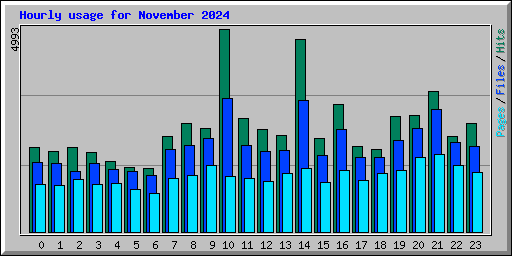 Hourly usage for November 2024