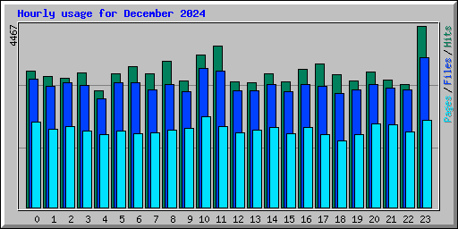 Hourly usage for December 2024