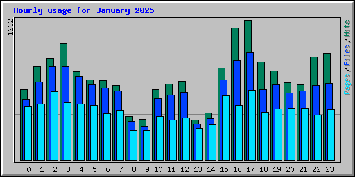 Hourly usage for January 2025