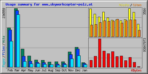 Usage summary for www.skyworkcopter-polz.at